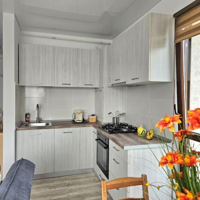 Cozy Sorada 2 Apartment Bragadiru ภายนอก รูปภาพ
